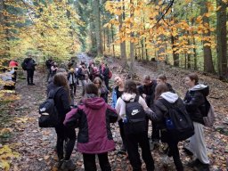 56411375712823991870213604802015176727896693n